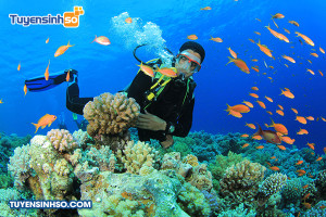 Ngành Hải dương học