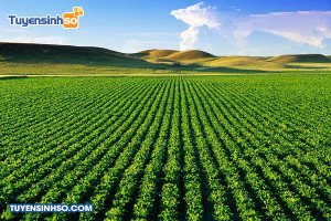 Ngành Nông nghiệp